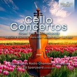 Brilliant Classics Netherlands Radio Chamber Orchestra & Ed Spanjaard - Cello Concertos From The Netherlands (CD)
