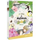 Le coffret Histoires DVD