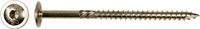 pgb-Europe Tellerkopschroeven 8x60 Torx T40 RVS 50 stuks