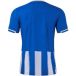 Joma Maillot Joma Premier