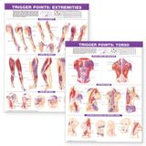 Trigger Anatomical Chart Company Trigger Point Chart Set