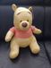 Disney Winnie The Pooh Danneels Trading BV Pooh Pluche met Print en Geluid - Winnie de Poeh