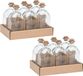 Merkloos Glazen flesjes met kurk dop - 12x stuks - transparant - glas - 250 ml