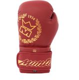 Montana Energy Legend Trainingshandschoenen Boksen 14 oz Rood/Bordeaux Unisex Polyurethaan