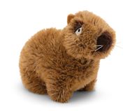 NICI Capybara Capybara-barbara Peluche Assis 17 cm