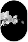 MuchoWow Muurovaal - Kunststof Wanddecoratie - Orchidee - Zwart Roze - 80x120 cm