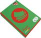 Quantore Kopieerpapier A4 120gr Grasgroen | 5 Stuks