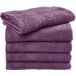 SG Accessories Serviette de plage Rhine