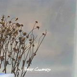 Sonic Rendezvous Brief Candles - Unfinished Nature (LP)