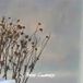 Sonic Rendezvous Brief Candles - Unfinished Nature (LP)