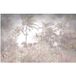 Forêt Tropicale Papier Peint Panoramique - 390 cm x 252 cm
