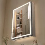 Vevor Verlichte Spiegel Medicijnkast 50x70cm Wit