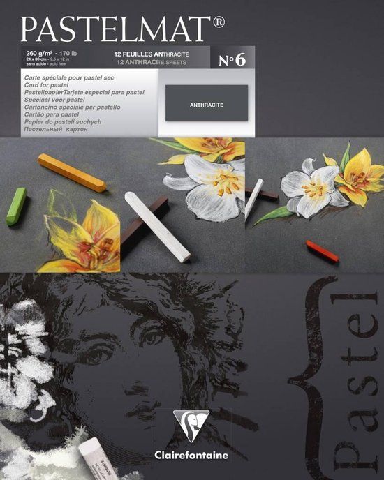 Clairefontaine Pastelmat Nr 6 Antraciet 12 vel 360 grams 24 x 30 cm