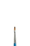 Winsor & Newton 5305005 Cotman aquarel penseel serie 555 plat penseel, lange steel, Nr. 5