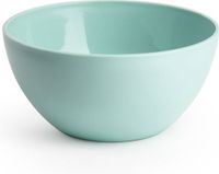 PlasticForte Schaaltjes - kunststof - kommetjes - dessert/ontbijt - D14 x H6 cm - mintgroen