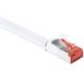 Goobay U/FTP CAT6 Gigabit platte netwerkkabel / wit - 1,5 meter
