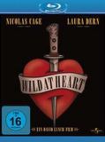 Plaion Wild At Heart (Blu-ray)