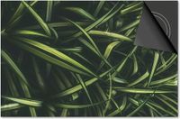 Dietrix Inductie beschermer 65x52 - DELUXE - Leaves - 15 Groene sprieten