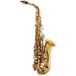 Leblanc Alto Saxophone Dark Lacquer LAS411