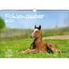 Fohlenzauber KN2023-3W-0015-D-0, DIN A3-kalender voor 2023, paarden en veulen