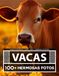 Libro De Fotografía - Vacas - Gran y Asombrosa Colección: 100 Hermosas Fotos En Este Fantástico Libro De Fotos De Vacas - Para Niños y Adultos