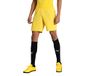 PUMA heren shorts teamFINAL 21 knit Shorts