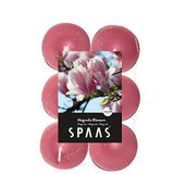 Spaas 12 Theelichten Geur, ± 4,5 uur - Magnolia Blossom