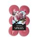 Spaas 12 Theelichten Geur, ± 4,5 uur - Magnolia Blossom