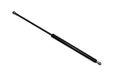 TarosTrade 229-0166-N-74719 gasveer voor de achterklep