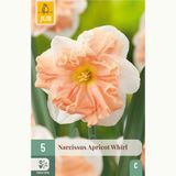 Jub Narcissus Apricot Whirl - Narcis - Snijbloemen - Voorjaarsbollen - bloeit in Maart / April