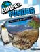 Tundra Redback Publishing Biomes- Tundra Ecosystems and Habitats Hardcover