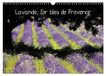 Lavande, Calvendo Lavande, l'or bleu de Provence (Calendrier mural 2027 DIN A3 vertical)