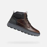 GEOX SPHERICA ECUB-1.1 ABX HEREN - DONKERBRUIN/ZWART - Maat 40