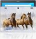 B2Ctelecom Back Cover voor Lenovo Tab 10 | Tab 2 A10-30 Back Case Paarden