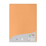 Clairefontaine 24208C - Pak van 25 Vellen A4 21x29,7cm Clementine 210g