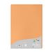 Clairefontaine 24208C - Pak van 25 Vellen A4 21x29,7cm Clementine 210g