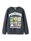 NAME IT - NKMSTUS POKEMON SWEAT BRU SKY - Jongens - Sweaters