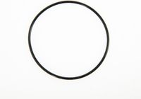 Bestway Tank O-ring voor 1000gal Zandfilter
