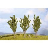 NOCH 25525 Set bomen Populier 55 tot 55 mm Groen 3 stuk(s)