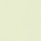 A.S. Création Versace Vliesbehang lichtgroen effen met structuur, satijn glanzend, 10,05 x 0,70 m