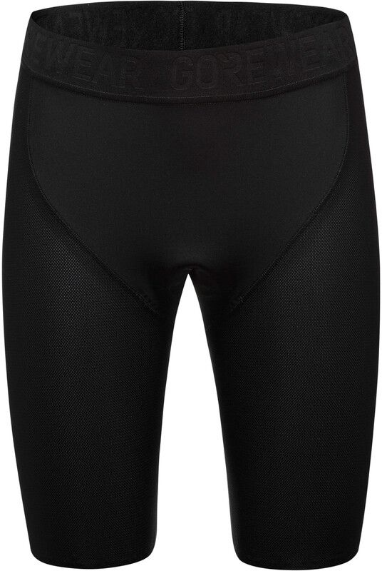 GOREWEAR Fernflow+ Gevoerde shorts Heren, zwart