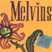 V2 Border Melvins Stag LP