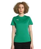 Puma Dames-shirt Teamgoal Jersey Wmn 658638