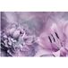 Papier peint panoramique fleurs