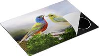 Chefcare Inductie Beschermer Getekende Gorzen Vogels - Multicolor - 75x50 cm