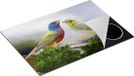Chefcare Inductie Beschermer Getekende Gorzen Vogels - Multicolor - 75x50 cm