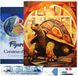 Figured'Art Diamond Painting set Volwassenen 40x50 cm met lijst Schildpad Art Deco