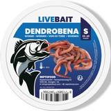 Aquadistri Repto Levende Dendrobaena worm S 35-45 stuks