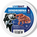 Aquadistri Repto Levende Dendrobaena worm S 35-45 stuks
