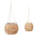 Atmosphera Plantenhanger set - 2x - waterhyacint - klein / groot - hangpot binnen